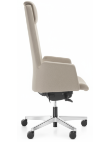 Used Bejot Office Chair, Beige, High Back, for Office and Study