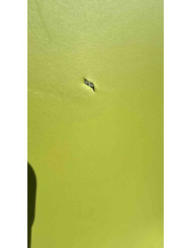 Used NOTI Mishell Lounge Chair – Green