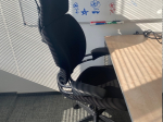 Humanscale Freedom - Krzesło biurowe ergonomiczne